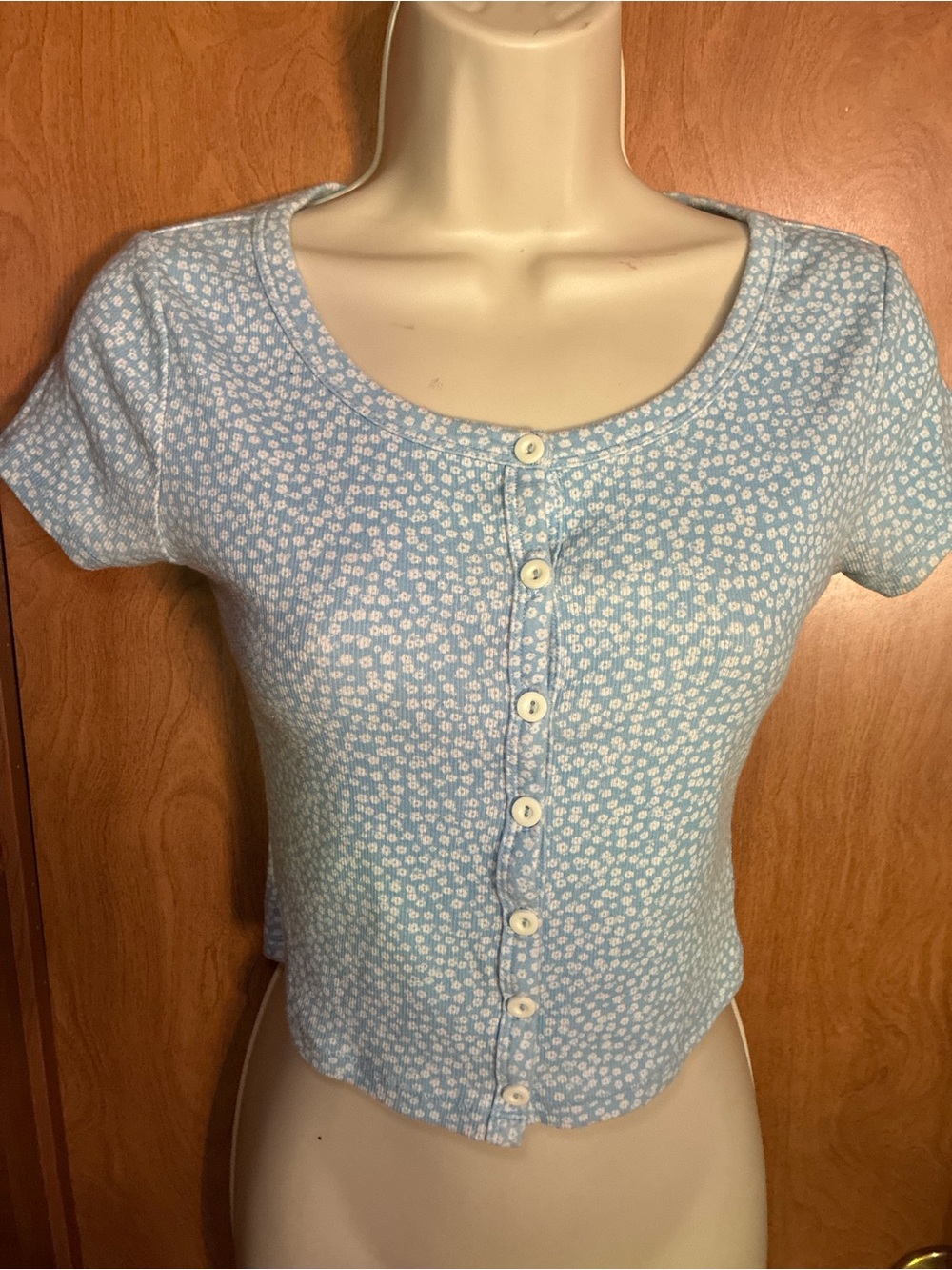 Aero Cottagecore Blue Floral Button-Front Top Small
